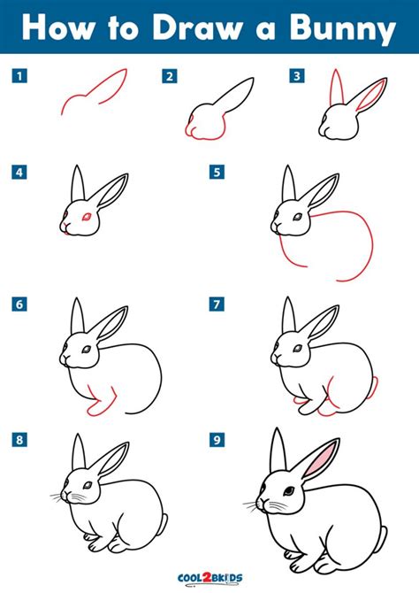 How To Draw A Bunny Cool2bkids