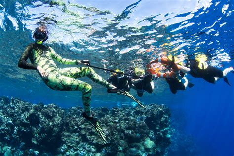 Diving And Snorkeling In The Great Barrier Reef Memugaa