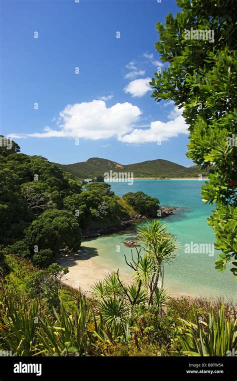 Idyllic Maitai Bay Sand Beach And Clear Blue Water Karikari Peninsula