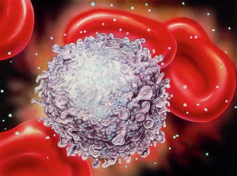 Illustration Of A T Cell Infected With Aids Virus Photograph By Bo