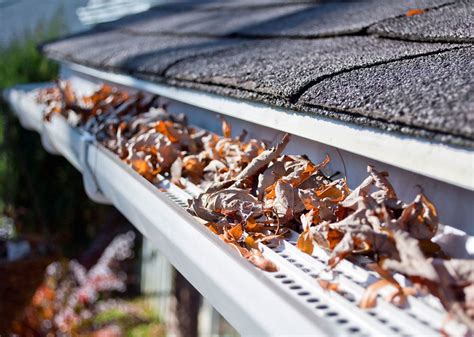 Are Gutter Guards Worth The Cost Storm Master Gutters