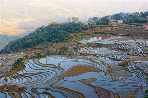 Yuanyang Rice Fields In Yunnan Province China Stock Image Image Of