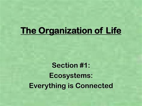 Ppt The Organization Of Life Powerpoint Presentation Free Download