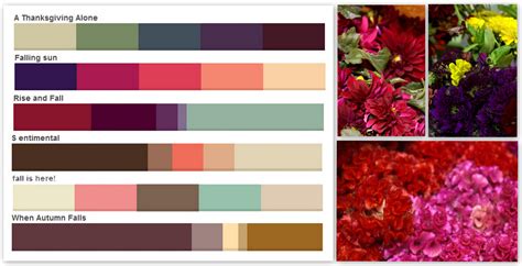 Fall Colors Palettes Pennock Floral