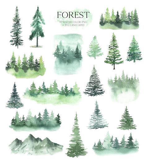 Watercolor Forest Tree Clipart 881223 Illustrations Design