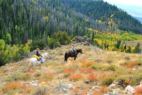 Best American Riding Ranches For Your Next Vacation Savvy Horsewoman