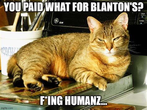 Sour Kitty Blantons Imgflip