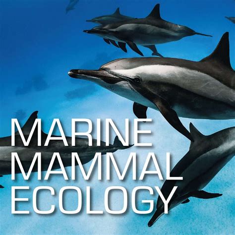 Ssi Marine Mammal Ecology Punkfish Academy