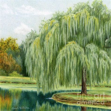 Weeping Willow By The Water By Sarah Batalka Abstract Tree Painting