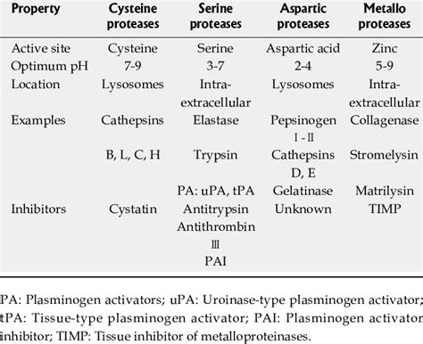 Categories And Main Properties Of Proteolytic Enzymes Download Table
