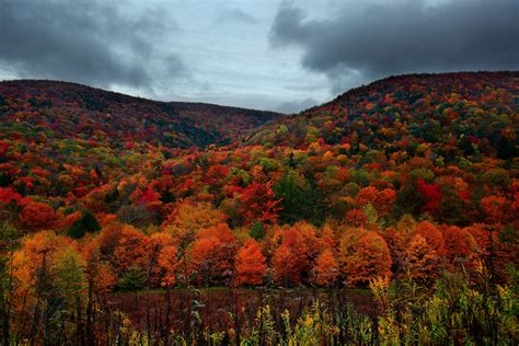 Fileautumn Mountain Foliage Virginia Forestwander Wikimedia
