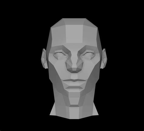 Planes Of The Head Male Asaro Model 3d Model Cgtrader