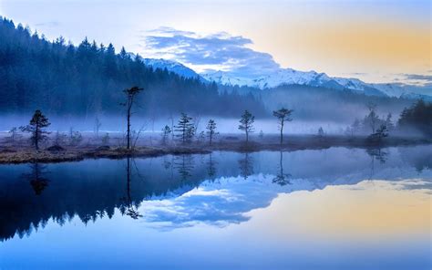 Nature Landscape Mist Lake Sunrise Forest Mountains Snowy Peak