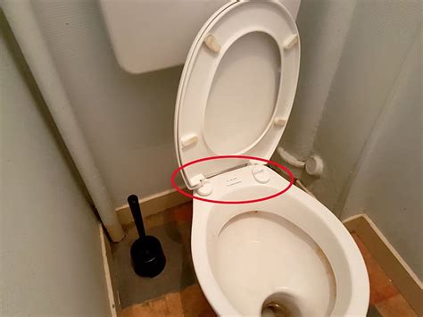 La lunette et son abattant de toilette papado vont révolutionner votre façon de nettoyer ! Changer la lunette des wc - Astuces Pratiques
