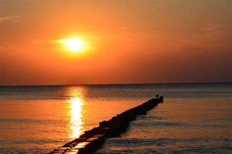 Baltic Sea Sunset Sun Free Photo On Pixabay Pixabay