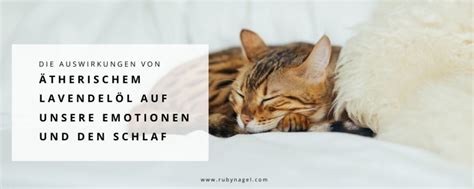 7 bei welchen leiden wird das öl angewandt? Ätherisches Lavendelöl - mein Komplettguide (+ Rezepte ...