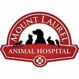 Pictures of Mount Laurel Animal Hospital New Jersey