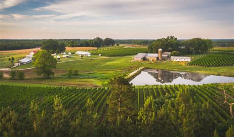 Virginia Wine Trails Virginia Is For Lovers