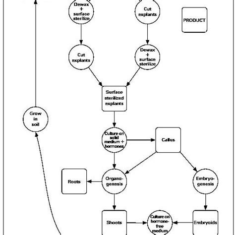 How to avoid it, recognize it, and get rid the minimal facility is described as one that can be used for a teaching laboratory or for a laboratory where there is only an occasional use for tissue culture. (PDF) Cell And Tissue Culture Laboratory Manual