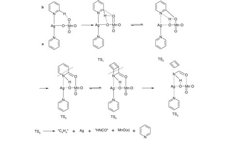 Scheme 1 Proposed Mechanism Of The Intramolecular Oxidation Of