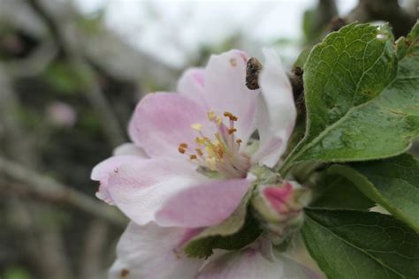 May 10 – 12, 2019: Spring Weekend Retreat | Lin Wang Gordon