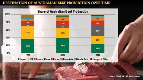 Beef Market Diversification Pays Big Dividends This Year Farm Online
