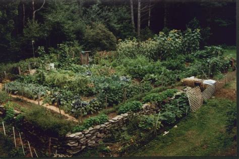 What Is Permaculture Hello Homestead