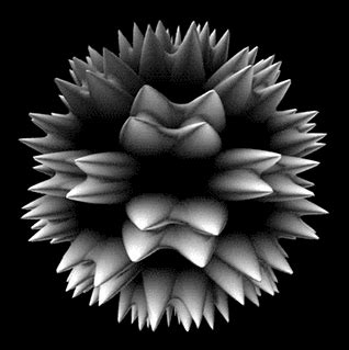 Animal graphics from aardvark to zebra and many in between. Cells Biology Animated Gifs at Best Animations
