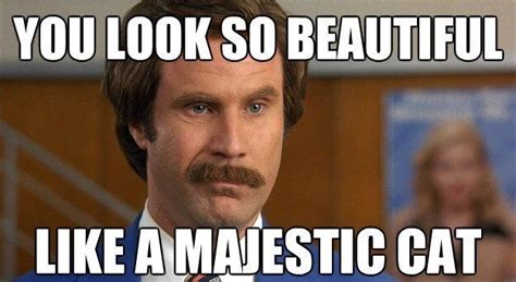 Team rocket blasts off again blastingoffagain. Anchorman: The Legend of Ron Burgundy | Funny guitar ...