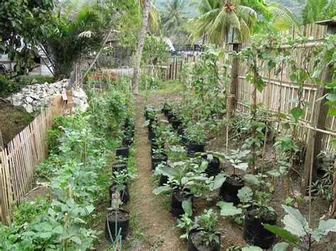 Ruangan penginjeng karang biasanya digunakan sebagai tempat ibadah atau tempat memuja untuk menjaga pekarangan. Budidaya dan Agronimis Pertanian: Optimalisasi Pemanfaatan ...