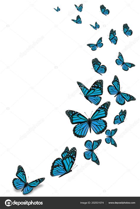 Sakura butterfly blue aesthetic decoration png pig year. Beautiful Blue Monarch Butterfly Isolated White Background ...