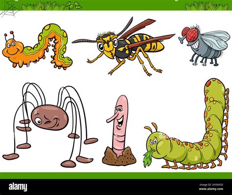 Drôle Insectes Personnages Ensemble Dessin Animé Illustration Photo