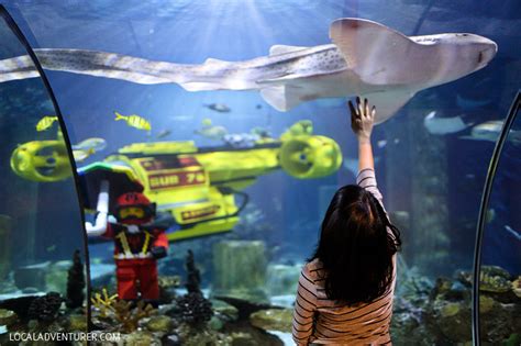 Where Is Sea Life Aquarium At Legoland