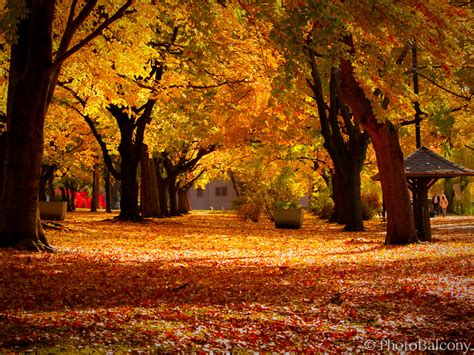 7 Best Places To Spot Foliage Read The Latest Travel News