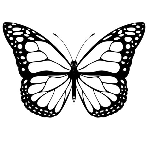 Lista Imagen Patrones Plantillas De Mariposas Para Imprimir Mirada