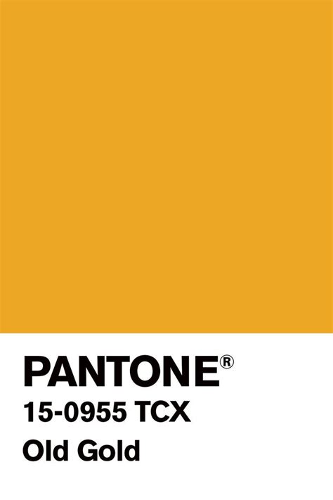 H N N H 🦠 On Twitter Yellow Pantone Pantone Colour Palettes Pantone