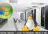 Linux Vs Windows Web Hosting Images