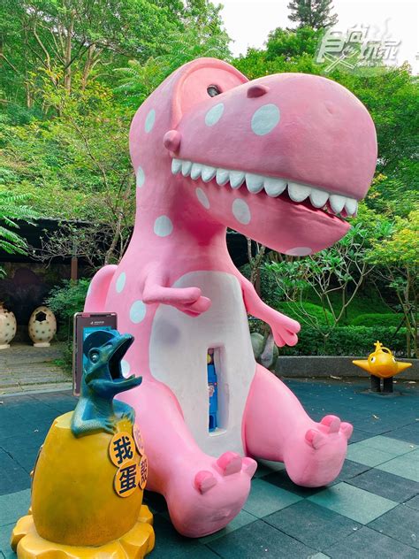 全台唯一「恐龍飯店」加碼延長！到11月都能去住「真實版侏羅紀公園」食尚玩家溫泉飯店大板根食尚玩家