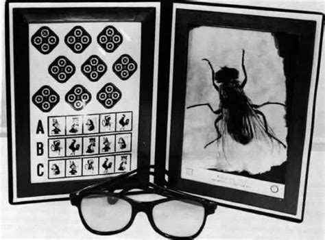 Notes on the ophthalmic aspects of john banister's antidotarie of 1589. Visión Binocular: Parte II - Qvision
