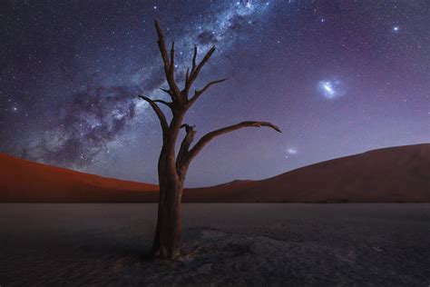 Tree Desert Milky Way 4k Hd Nature 4k Wallpapers Images