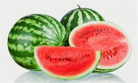 Cara Budidaya Semangka Agar Berbuah Besar | KampusTani.Com