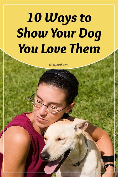 How To Show Your Dog You Love Them 10 Ways Love Of A Pet Dogs