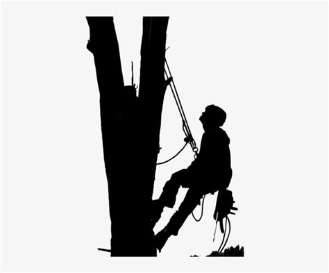 Climbing Vector Silhouette Black And White Tree Trimming Transparent