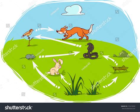 Res heat (in soil) water and minera taken up by tree roots co2 chemical cycling of nutrients subrnit incorrect; Ecosystemdiagram Stock Vector 215219293 - Shutterstock