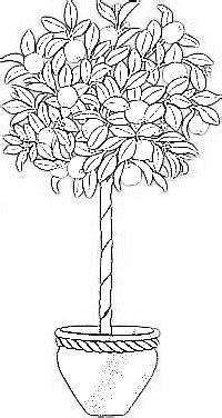 Its a big fun to color printables together. Italophile Coloring Pages: Orange Tree