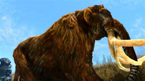 Mammoth At Skyrim Special Edition Nexus Mods And Community