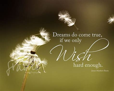 Wish Quote Post Dreams Do Come True Wish Quotes Wish