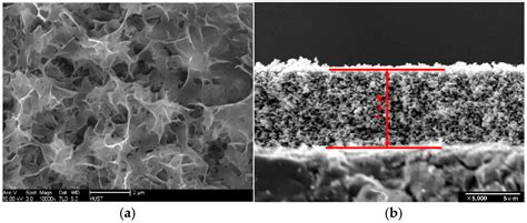 Coatings Free Full Text Porous Zinc Oxide Thin Films Synthesis