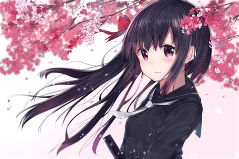 Download 1920x1080 Anime Girl Tears Sakura Blossom Long Hair Crying