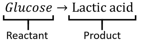 I guess i'll just have to accept that this forum is for those with ultimate scientific knowledge, coming up with intricate topics producing complex equations. Anaerobic Respiration - Key Stage Wiki